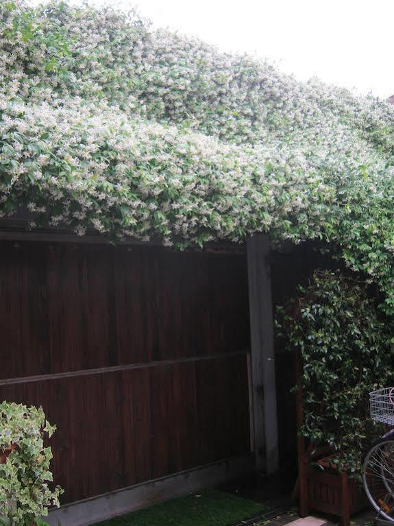 Casa Di Carlo Goldoni - Dimora Storica Bed & Breakfast Chioggia Eksteriør bilde